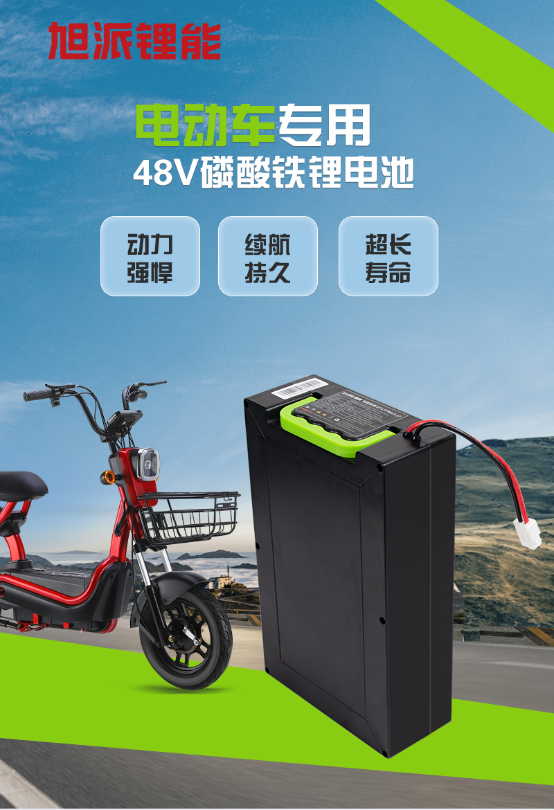 电动车专用 48V磷酸铁锂电池