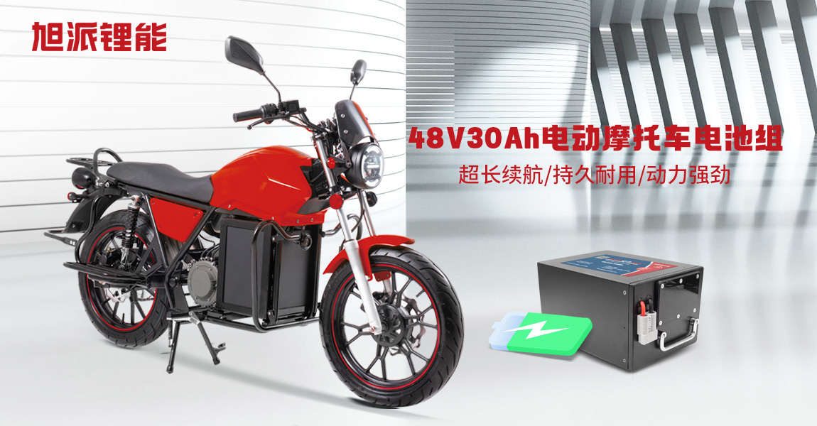 旭派锂能48V30Ah电动摩托车电池组
