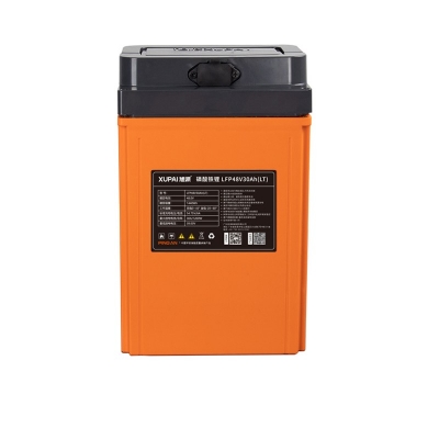 旭派48V电动两轮车电池