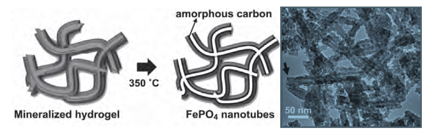 Synthesis of nanostructured materials with biological agents